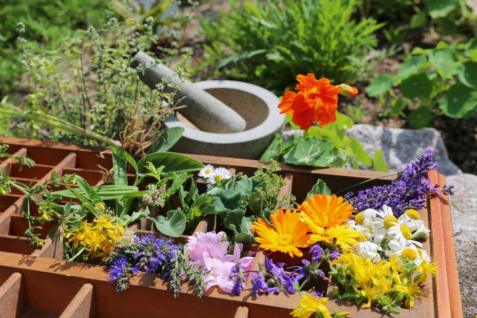 Gartentherapie 2 Gartentherapie 2